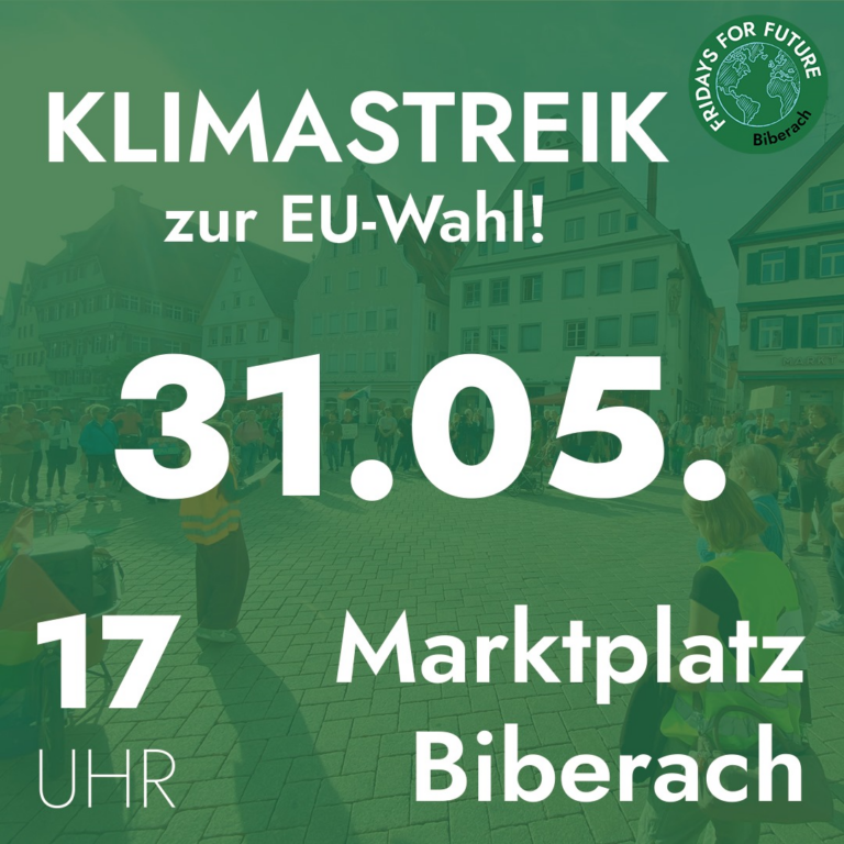 Klimastreik zur EU-Wahl