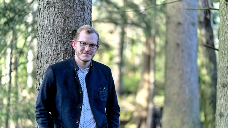 Wälder im Trockenstress